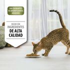 Pro Plan Adult Sterilized Pavo pienso para gatos, , large image number null
